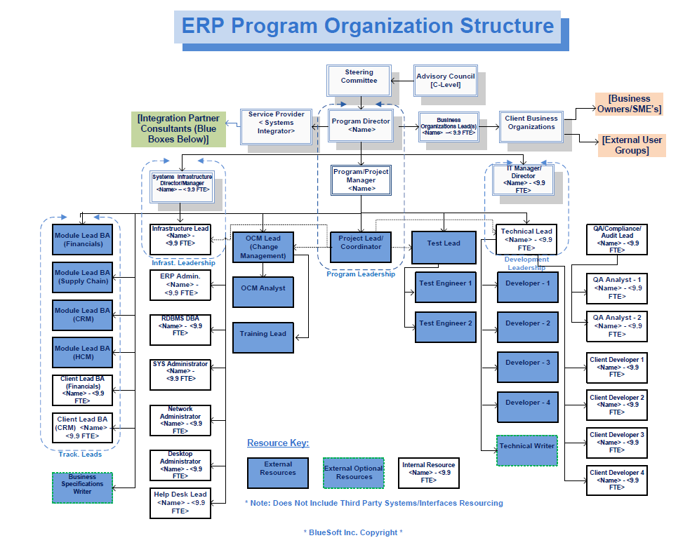 Complex Project Org